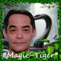 *Magic-Tiger*